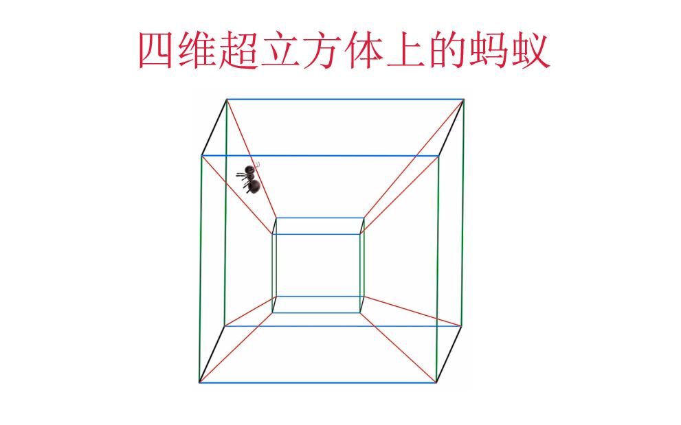 [图]四维超立方体上的蚂蚁