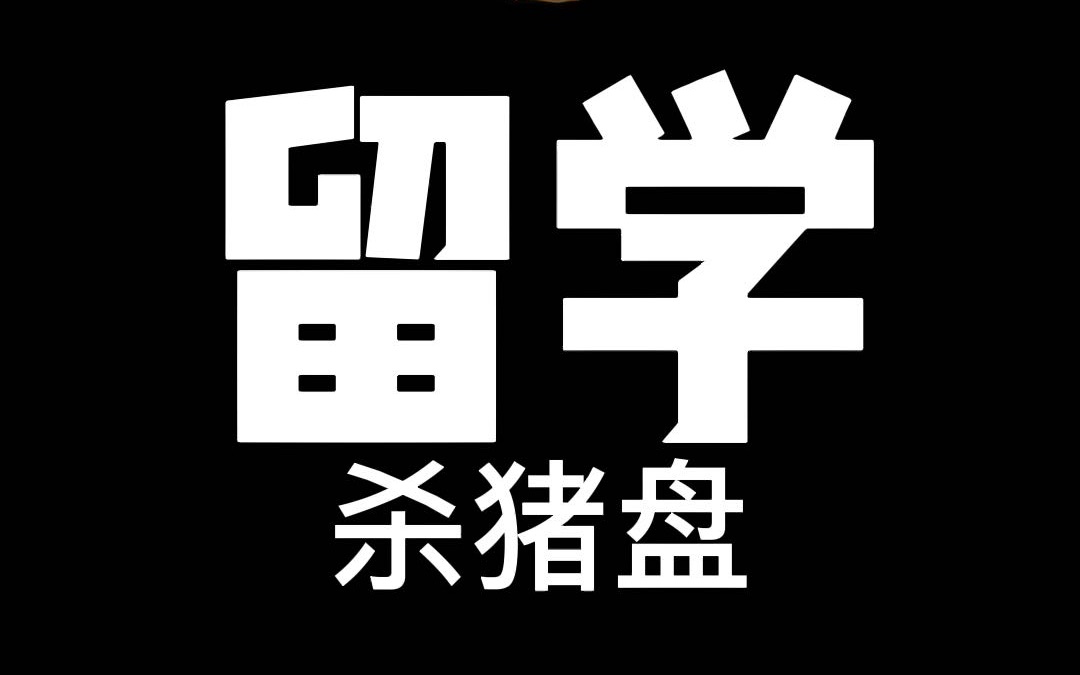 留学除了要保护人身财产安全外,对天上掉下来的馅饼也要保持清醒哔哩哔哩bilibili