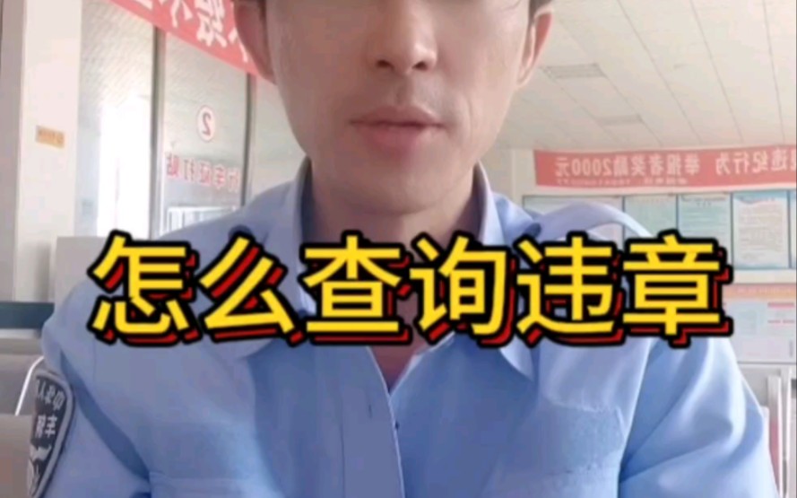 怎样查询违章哔哩哔哩bilibili