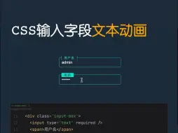 Download Video: css输入字段文本动画