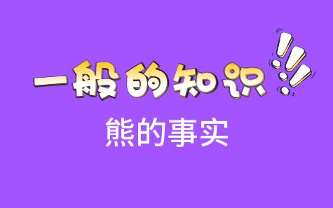 熊的种类哔哩哔哩bilibili