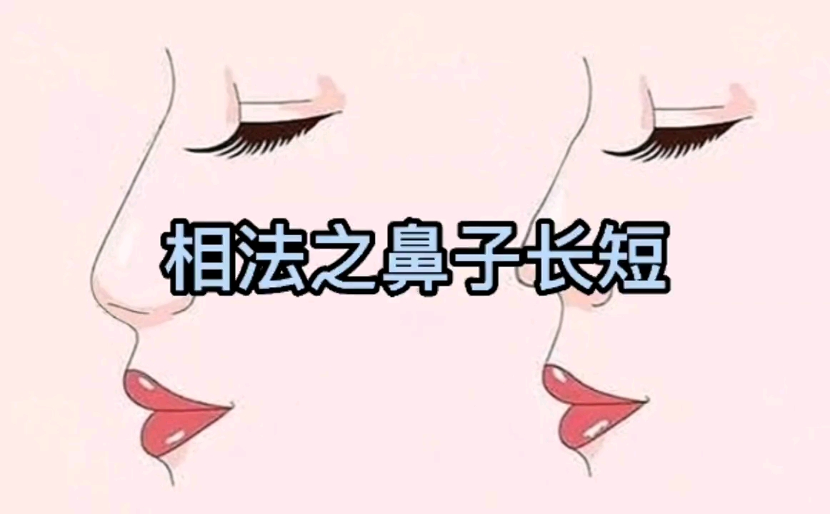 面相十二宫之鼻之长短