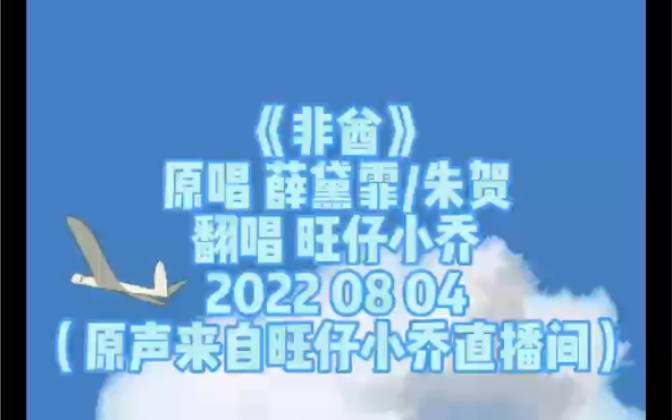 《非酋》旺仔小乔 (原唱 薛黛霏/朱贺)哔哩哔哩bilibili