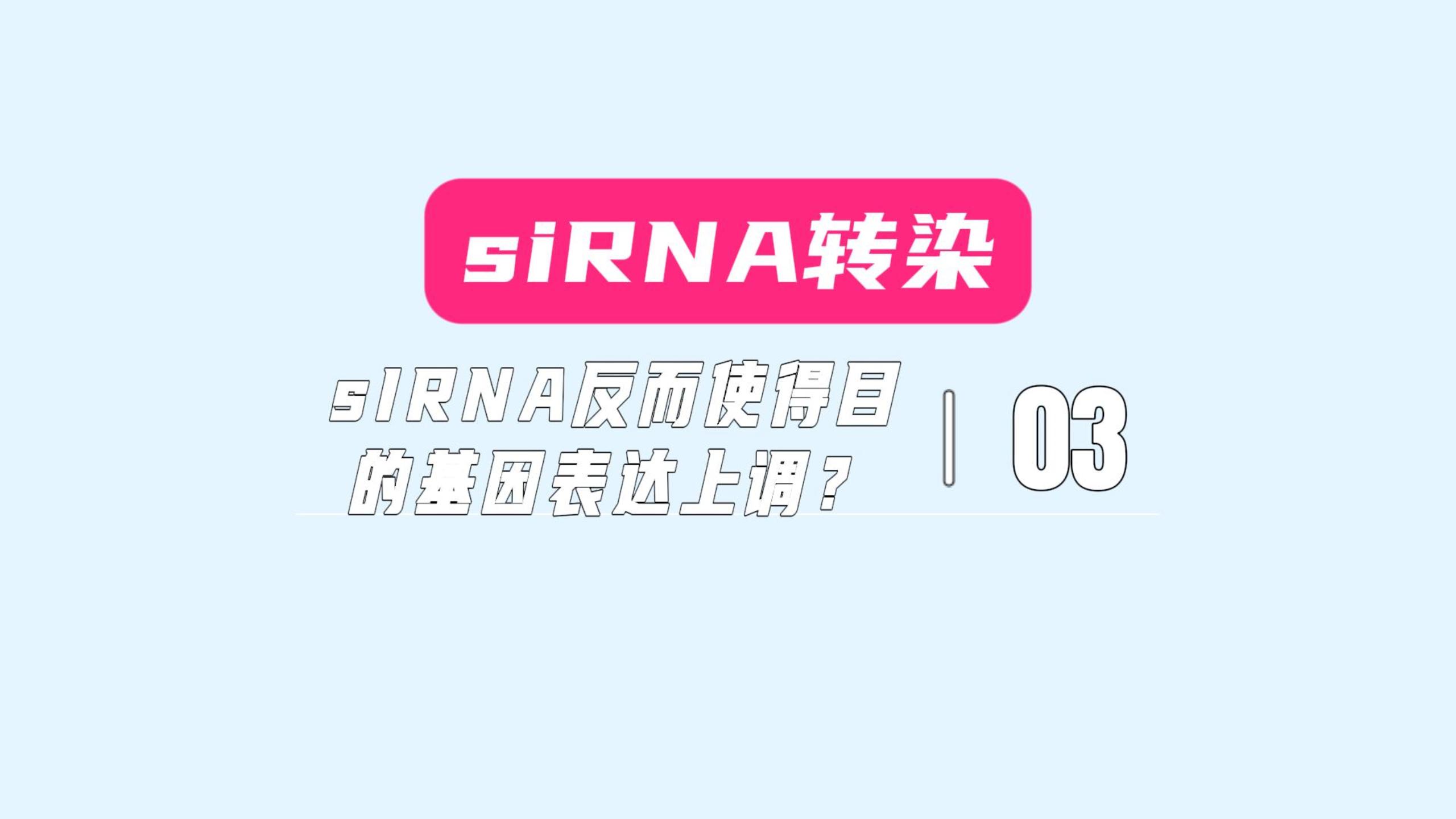 siRNA转染3siRNA反而使得基因表达上调?哔哩哔哩bilibili