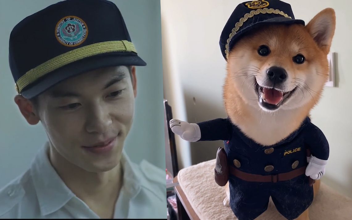 盘点许光汉和柴犬撞脸的所有瞬间【第2版已更新】【持更】