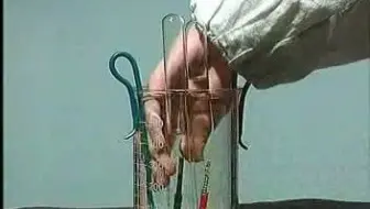 12.电解水的实验