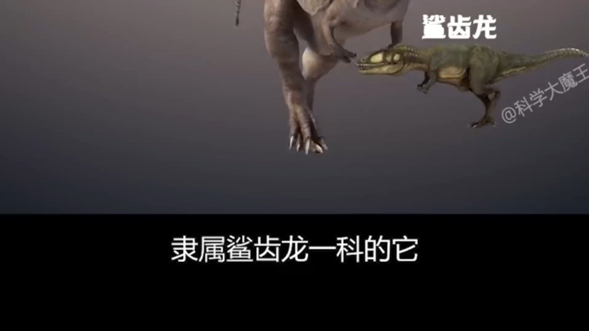 1亿年前高棘龙,比霸王龙还厉害的陆地霸主,单挑40吨巨兽