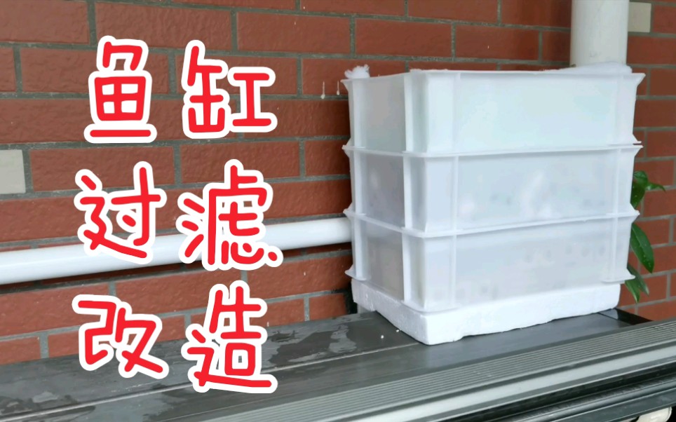 【小白教程】鱼缸过滤箱制作全过程哔哩哔哩bilibili