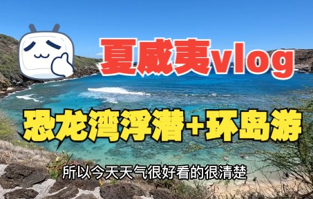 夏威夷 欧胡岛vlog|DAY 5|恐龙湾 浮潜 + 环岛游哔哩哔哩bilibili