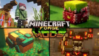 Download Video: 【生肉】最棒的20个Minecraft模组 (1.16.5 - 1.20.6)