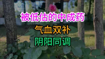 Tải video: 一个别低估的中成药，气血双补，阴阳同调！