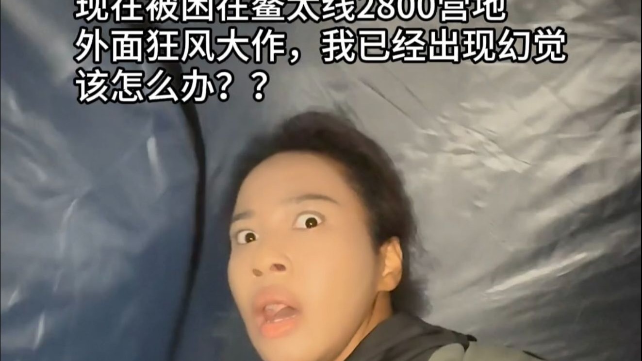 神秘园见