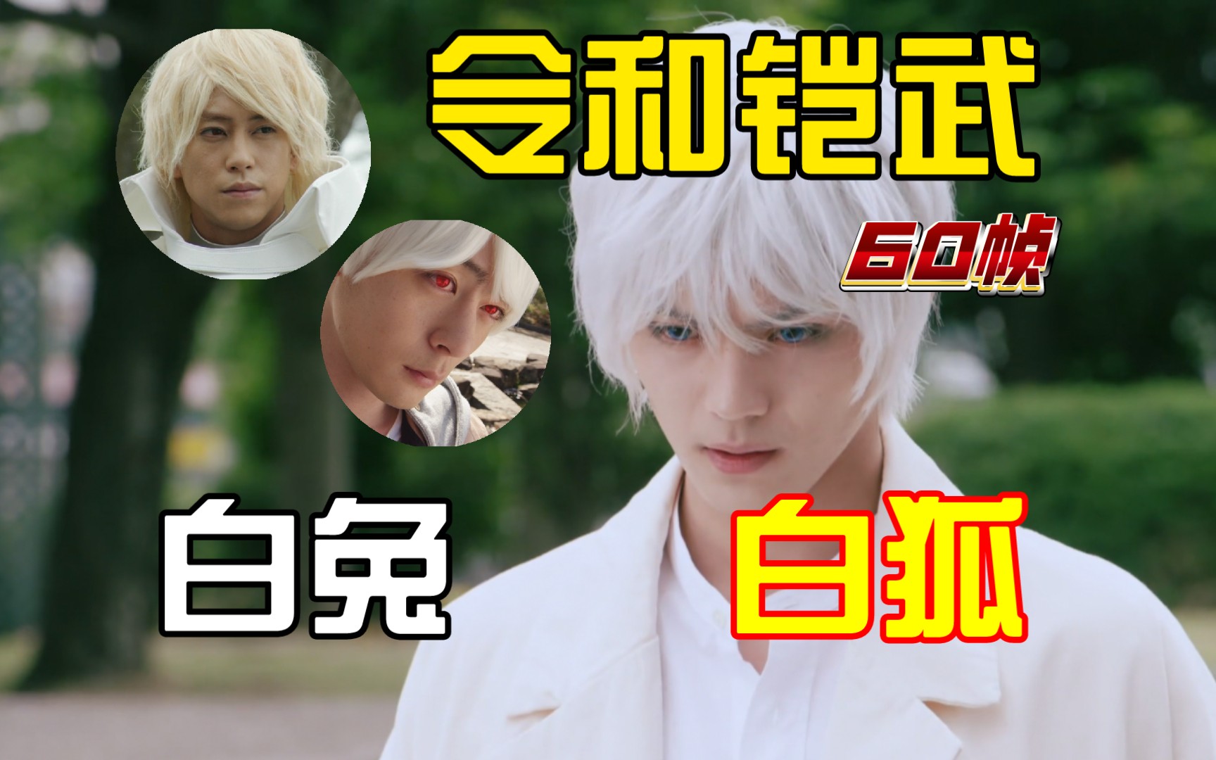 最初的白发战兔,最美的白发狐狸,希望浮将军一直这么美!