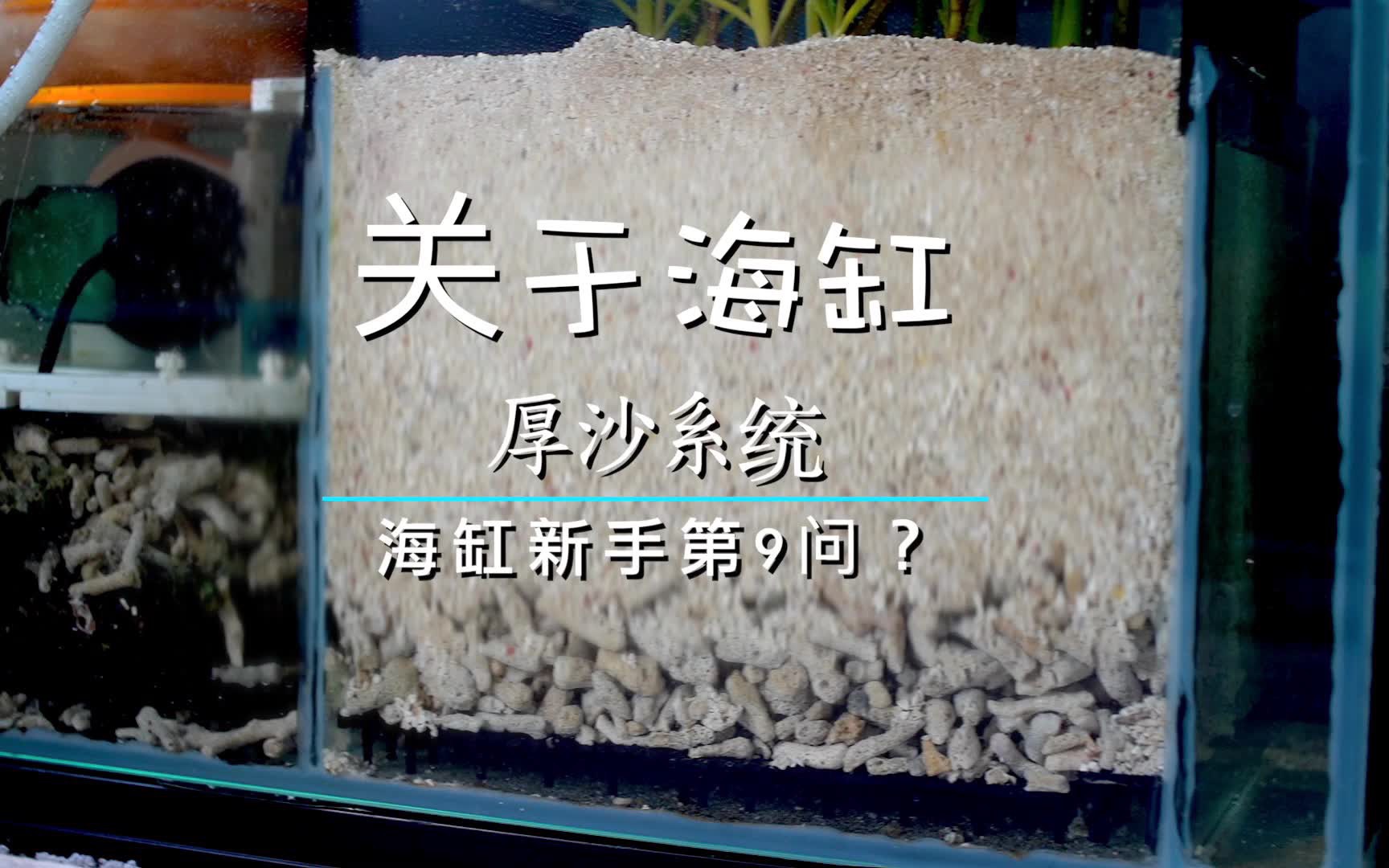 [图]海缸新手第九问 海缸的厚沙系统 原理及铺设过程