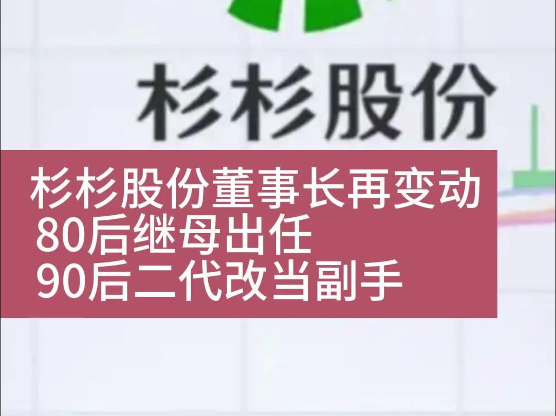 杉杉股份董事长再变动:80后继母出任,90后二代改当副手哔哩哔哩bilibili