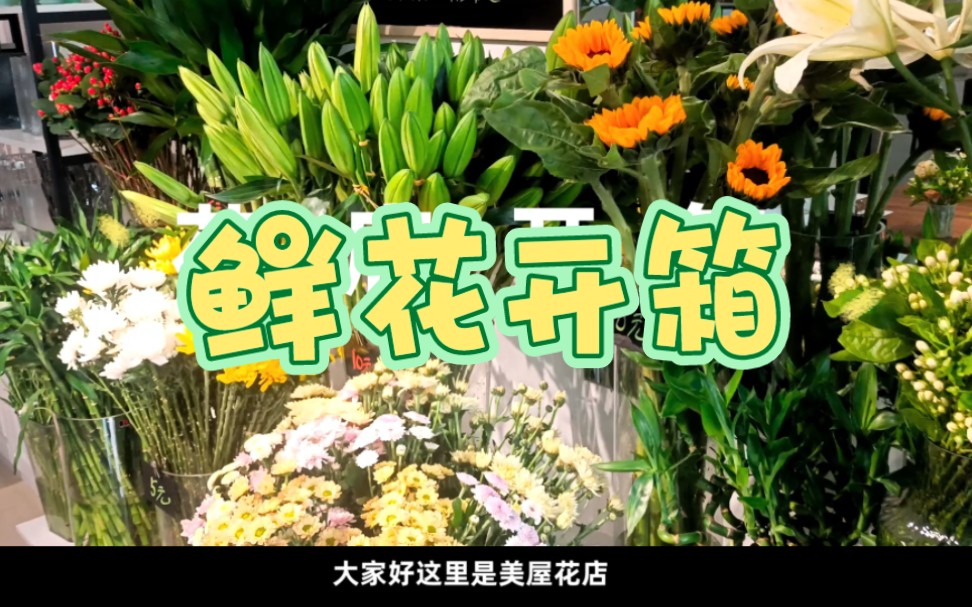 十二种鲜花,快来认识一下!哔哩哔哩bilibili