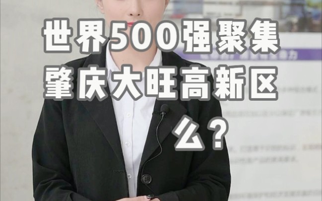 世界500强齐聚肇庆大旺高新区,凭什么哔哩哔哩bilibili