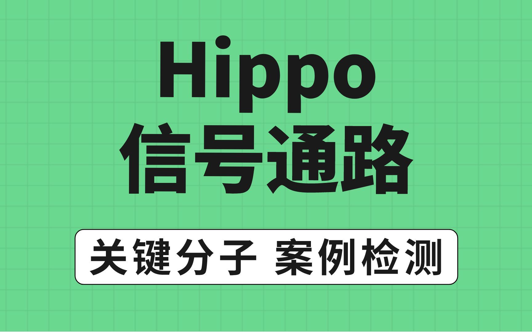 Hippo信号通路全貌和检测案例哔哩哔哩bilibili