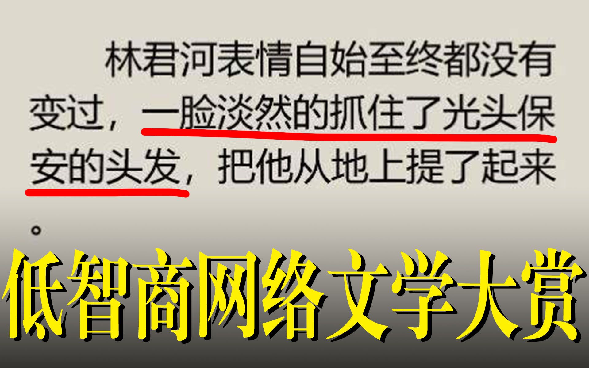 他居然…抓住光头保安的头发?!!【低智商网络文学大赏3】哔哩哔哩bilibili