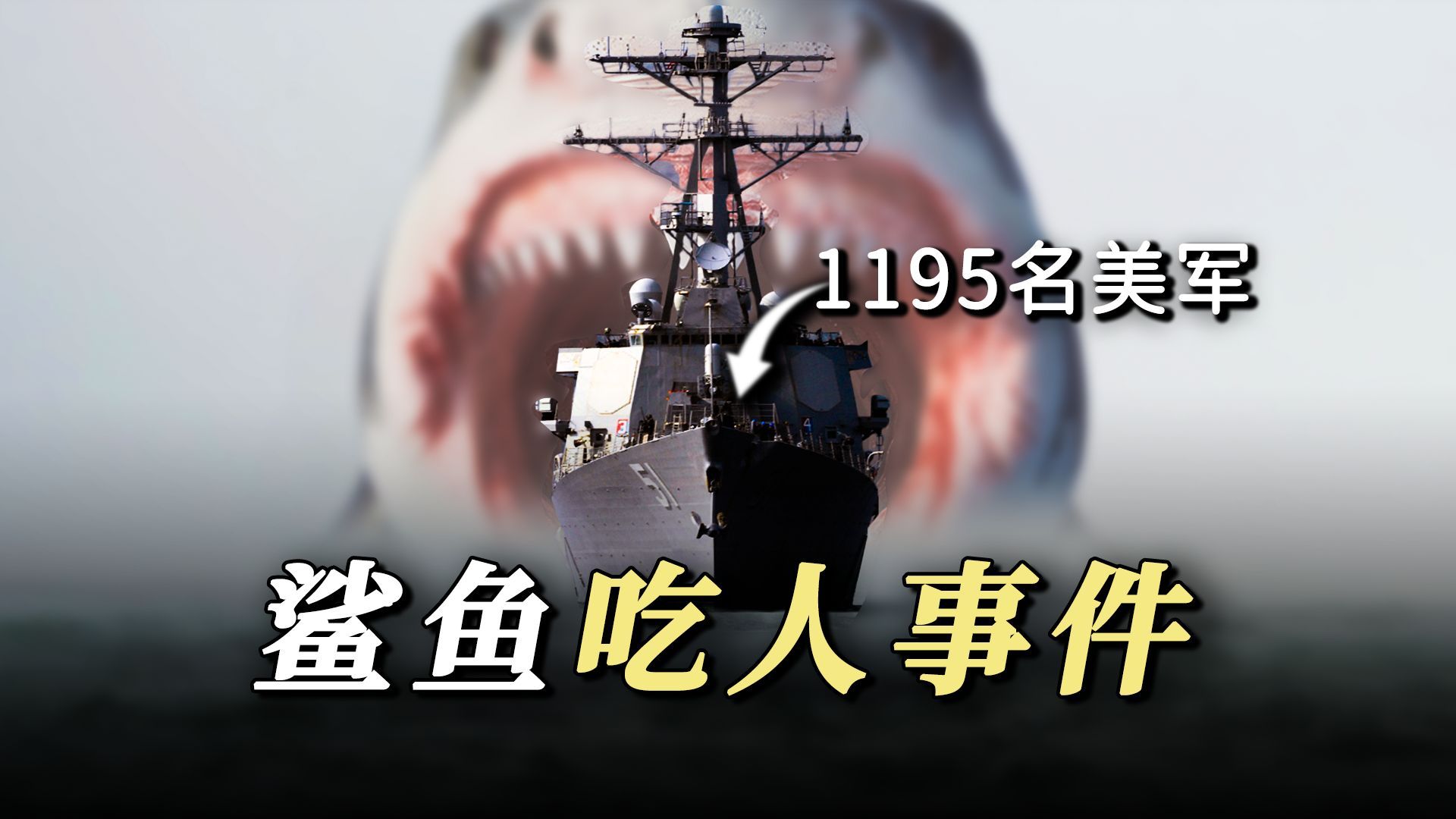 人类史上最大鲨鱼吃人案件,超过1195名美国士兵被鲨鱼分食,现场血腥无比#案件解说 #奇闻异事哔哩哔哩bilibili