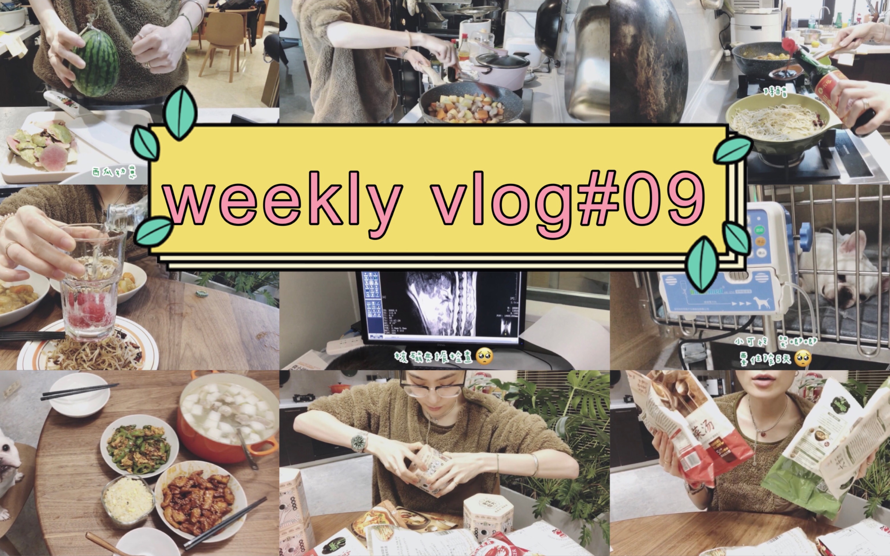 weekly vlog#09.双11淘宝开箱零食篇 狗狗做手术住院 一人食流水帐哔哩哔哩bilibili