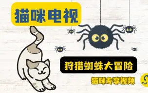 Descargar video: 猫猫电视 - 🕷️ 蜘蛛狩猎大冒险  猫咪游戏 给猫看的视频 有声逗猫游戏 铲屎官必备！