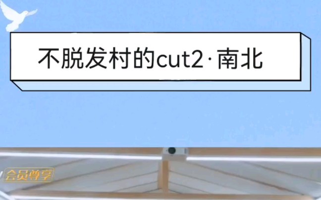 不脱发村的cut2ⷥ—北哔哩哔哩bilibili