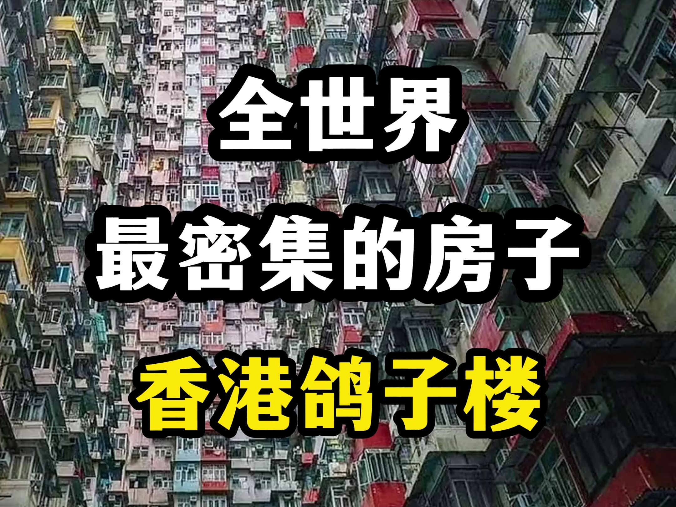 香港鸽子房图片