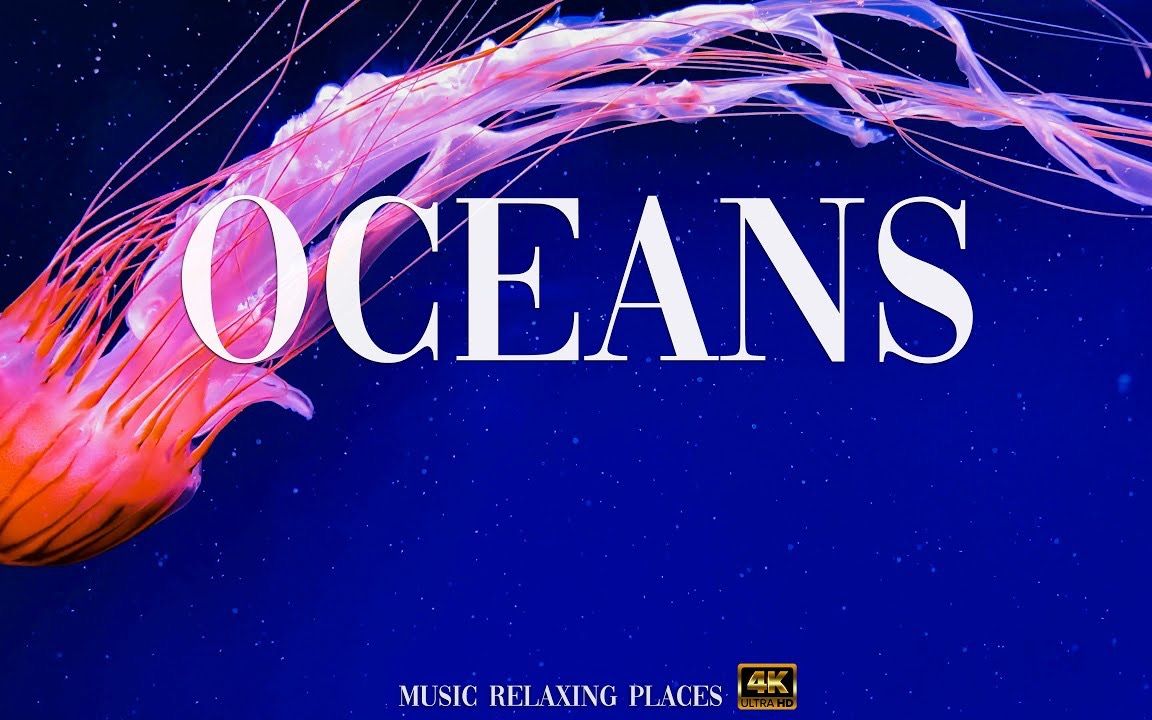 [图]【轻音乐】海洋 Oceans 4K