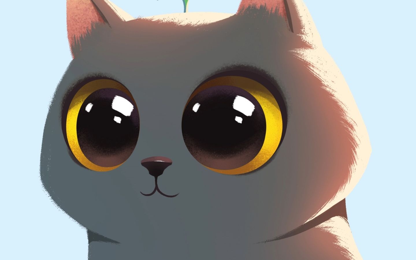 每只英短都是天生的娃娃脸