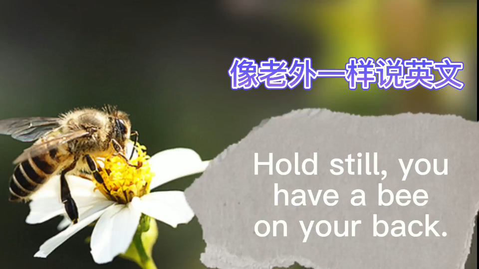 [图]英语早读-Hold still,you have a bee on your back!