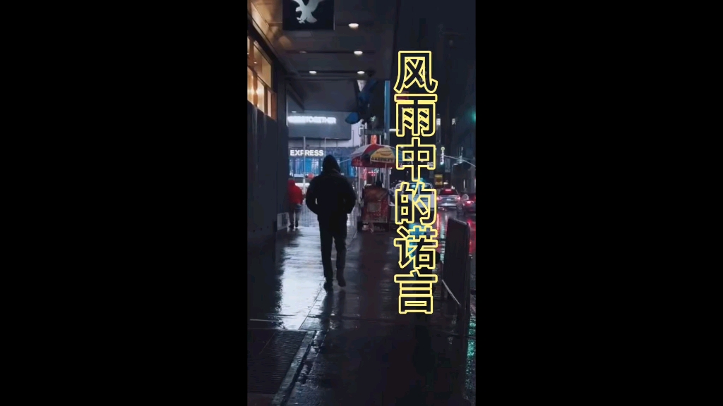 《风雨中的诺言》原唱:李翊君哔哩哔哩bilibili