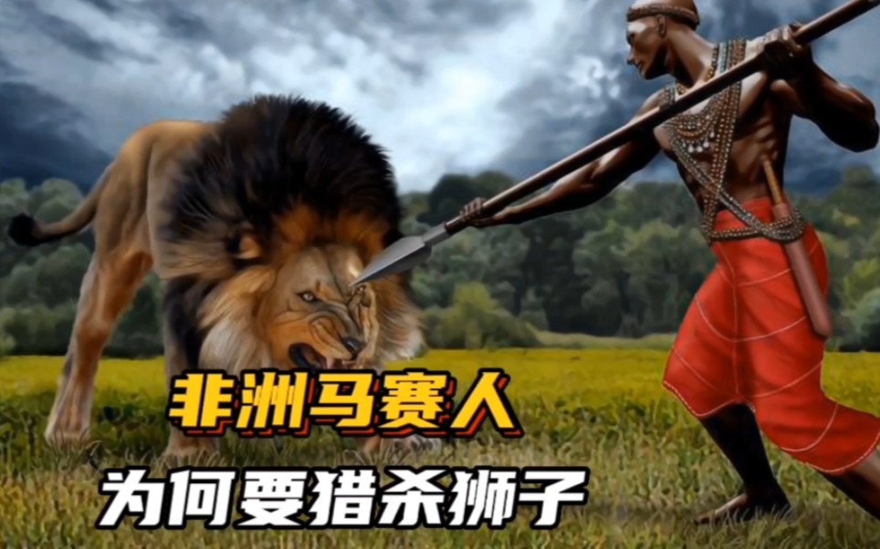 狮子的克星,非洲马赛人为何要狩猎狮子