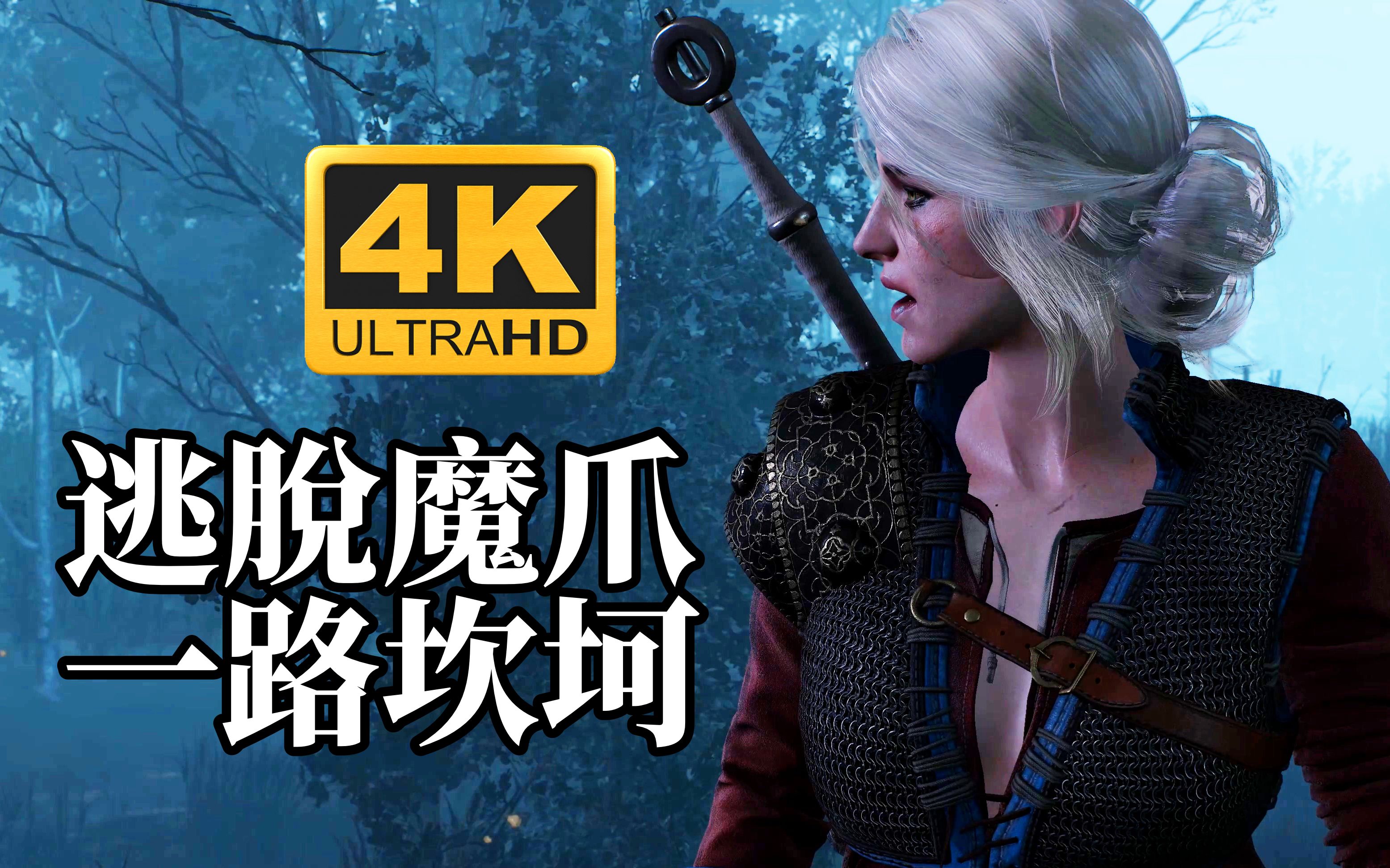 【宅叔·玩游戏】【4k】全特效 7g画质补丁 巫师3 #22 绝世美女 沼泽