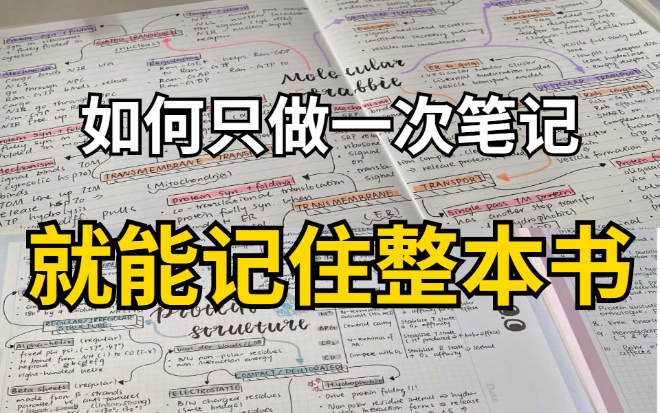 如何做一次笔记 就能记住整本书?思维导图创始人亲授课程 教你思维导图到底怎么做?能快速提升学习工作效率 思维导图之父快问快答 如何用思维导图快速...