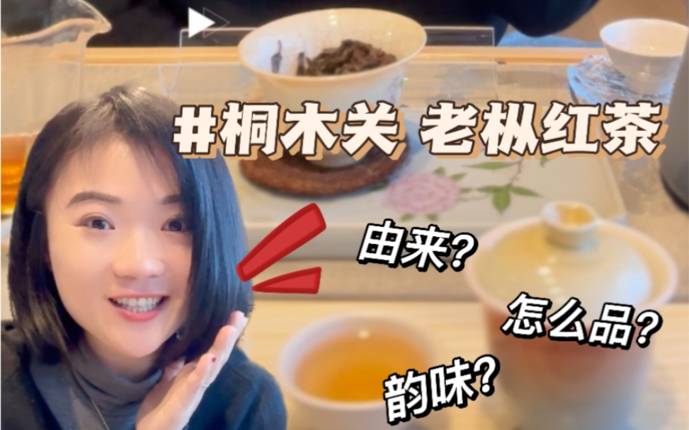 红茶极品!老枞红茶怎么喝?|武夷山桐木关百年老树|喝茶带给你什么样的体验?哔哩哔哩bilibili