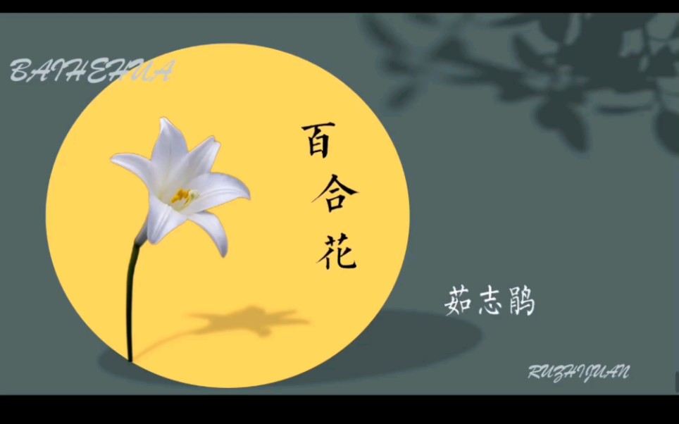 [图]《百合花》教学课件～～