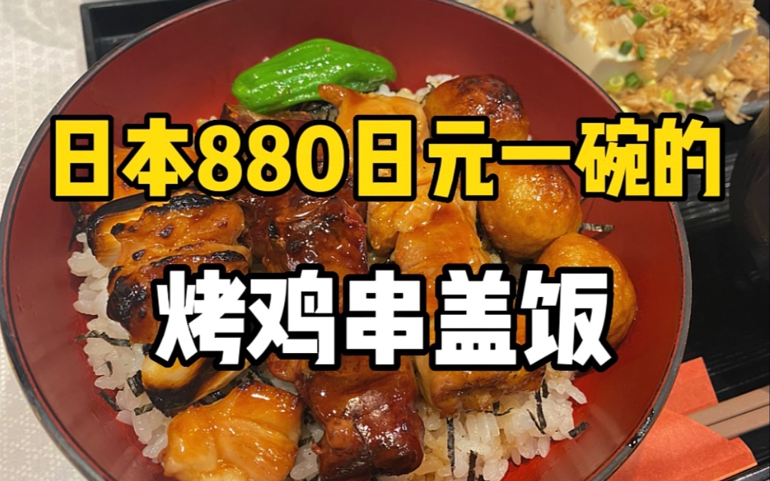 烤鸡肉串也能盖饭?日本880日元一碗的烤鸡串盖饭和入口即化的冷豆腐究竟好不好吃?哔哩哔哩bilibili