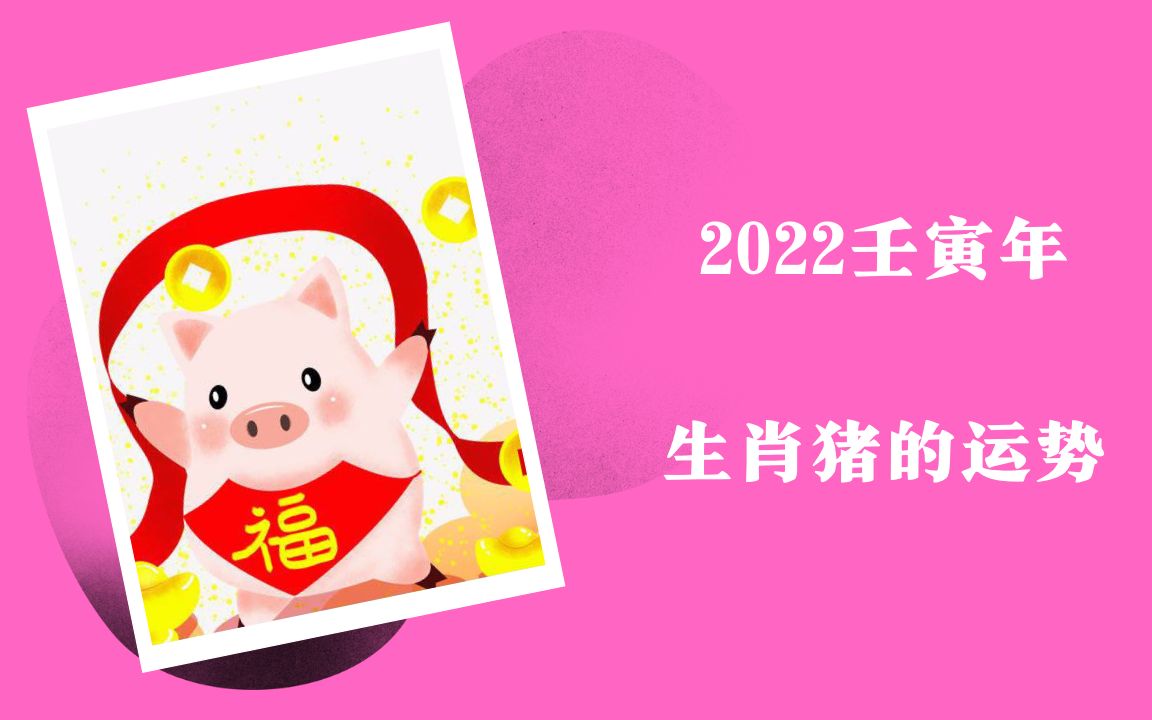 2022壬寅年 生肖猪的运势哔哩哔哩bilibili