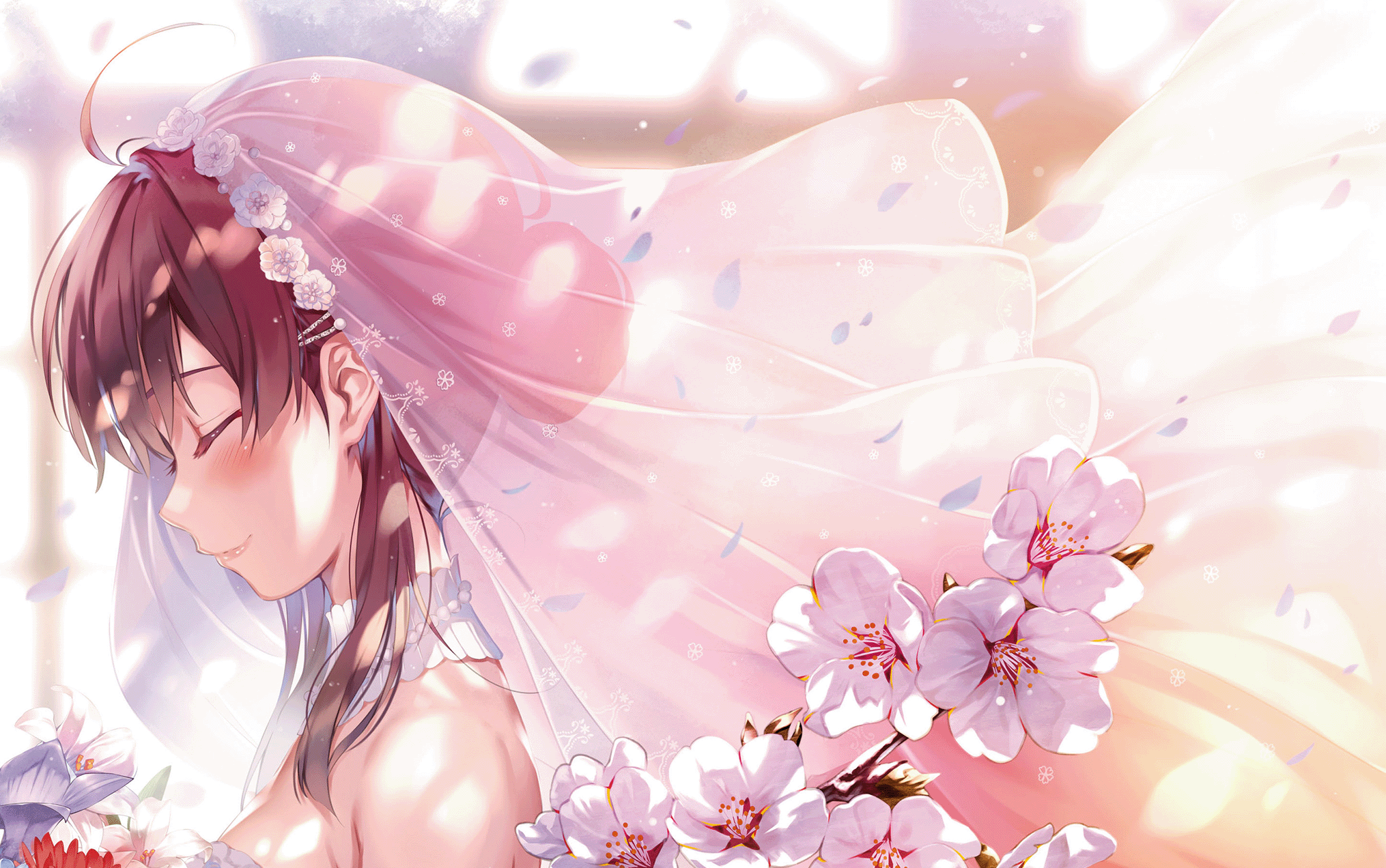 【加藤惠生贺】【路人女主】春日,樱花,还有你