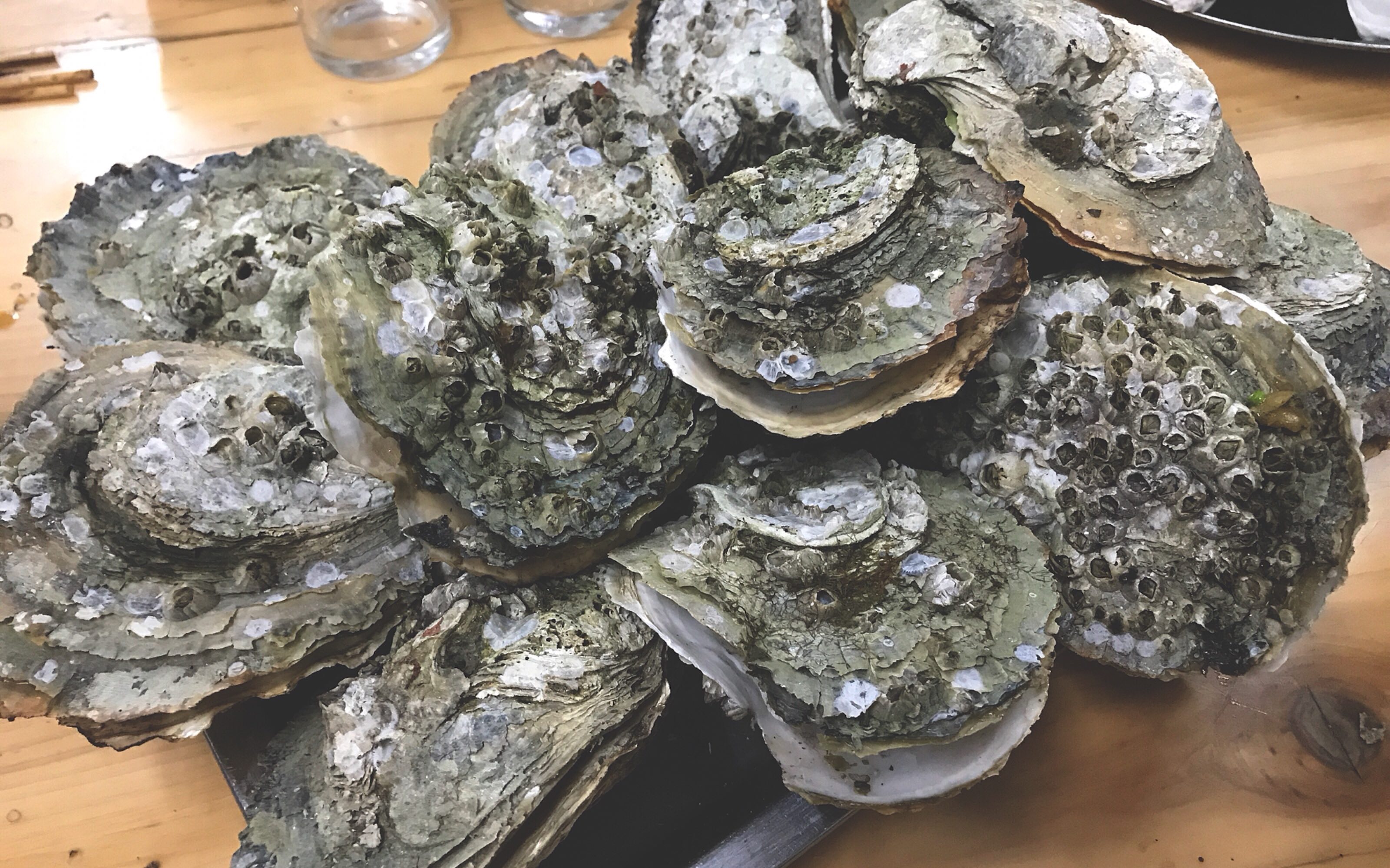 超超超超好吃的原味生蚝