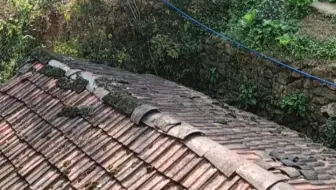 【len三农村cen】her黑白ber奶牛猫偷袭ang黄橘猫mou。