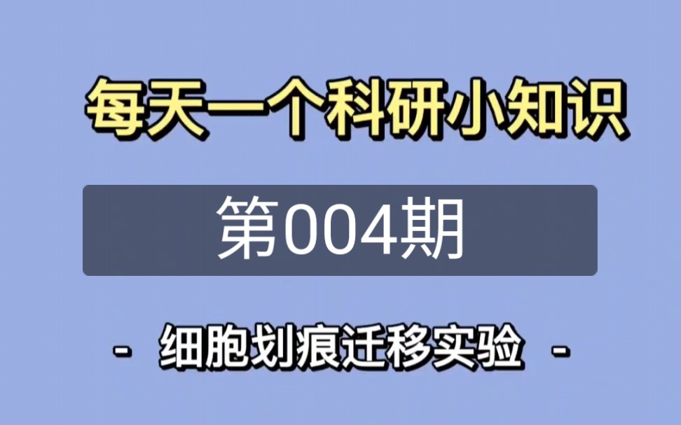 博士日常004期 / 细胞划痕迁移实验 方法分享哔哩哔哩bilibili