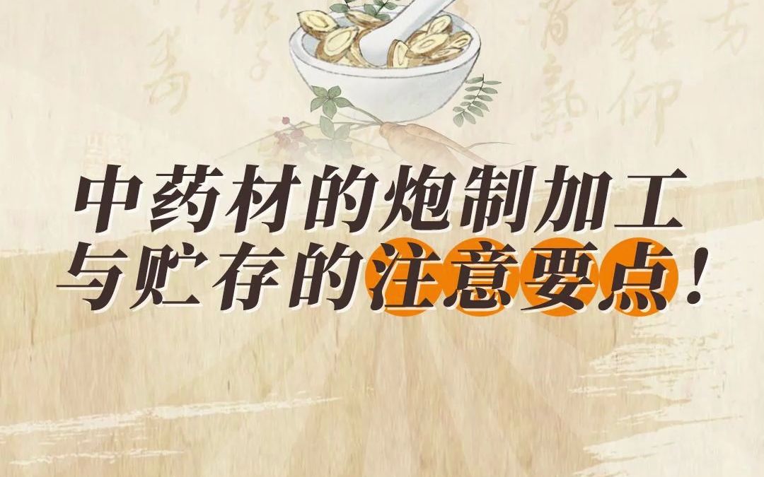 中药材的炮制加工与贮存的注意要点!哔哩哔哩bilibili