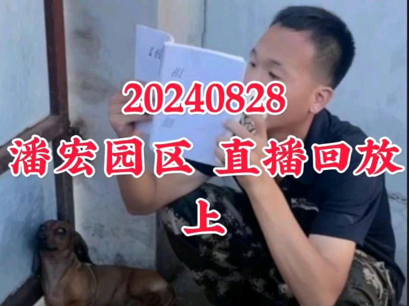 【潘宏直播回放】20240828上哔哩哔哩bilibili