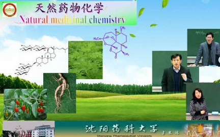 [图]天然药物化学_沈阳药科大学_主讲-宋少江 56讲