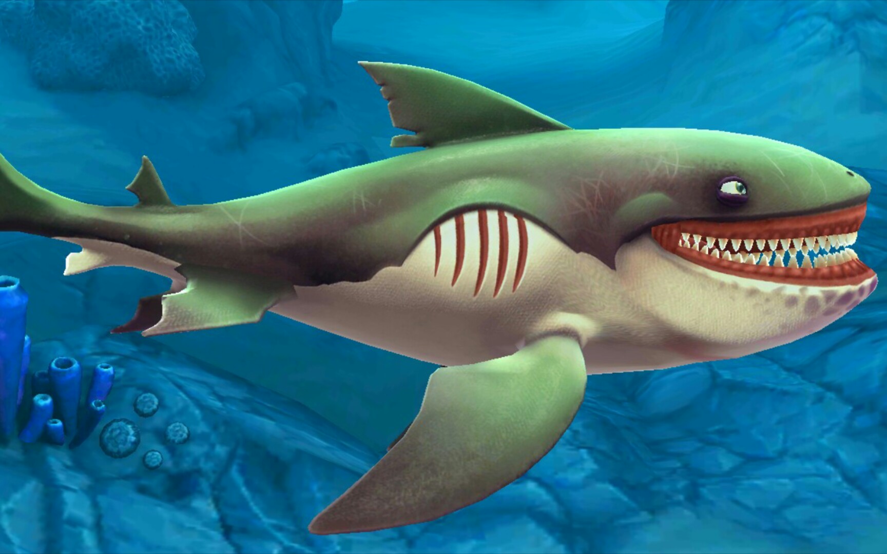 饥饿鲨世界鲨鱼介绍(15)巨口鲨