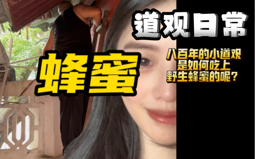 八百年的小道观时如何吃上野生蜂蜜的呢?-漾子日记-漾子日记-哔哩哔哩视频