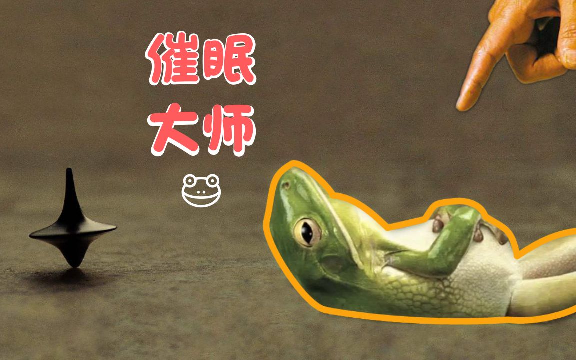 如何催眠一个青蛙揭秘催眠动物的真相你也能成为催眠大师分钟科学