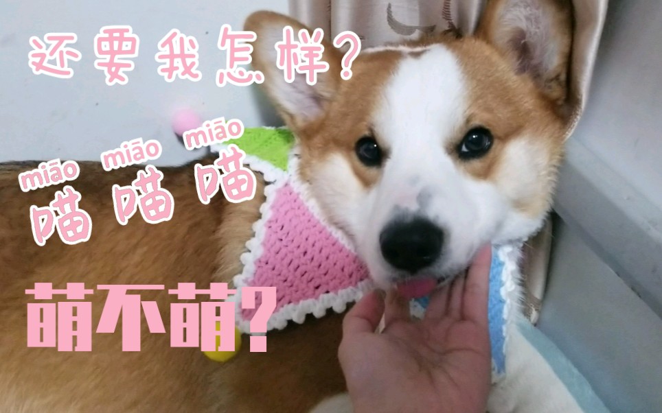 活动作品臭屁精椰子的深夜被迫营业